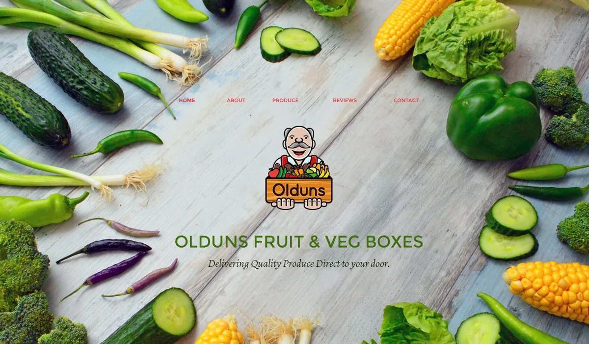 Olduns website design project